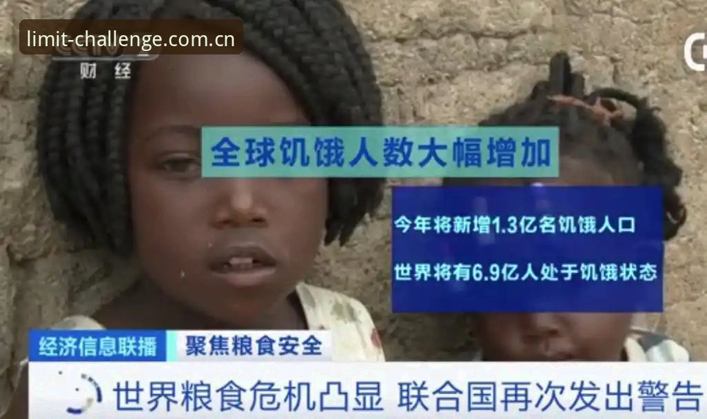 揭秘非凡体育网址安装失败背后的真相：新手必看的完整解决方案